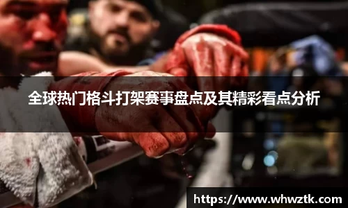 全球热门格斗打架赛事盘点及其精彩看点分析