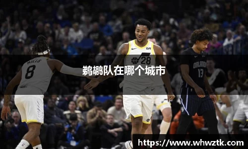 鹈鹕队在哪个城市