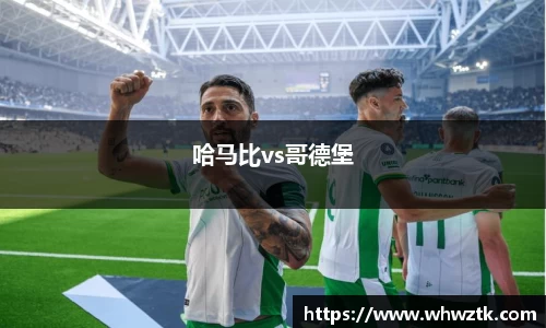 哈马比vs哥德堡