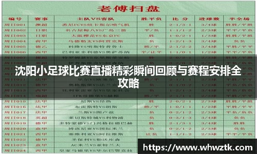 沈阳小足球比赛直播精彩瞬间回顾与赛程安排全攻略